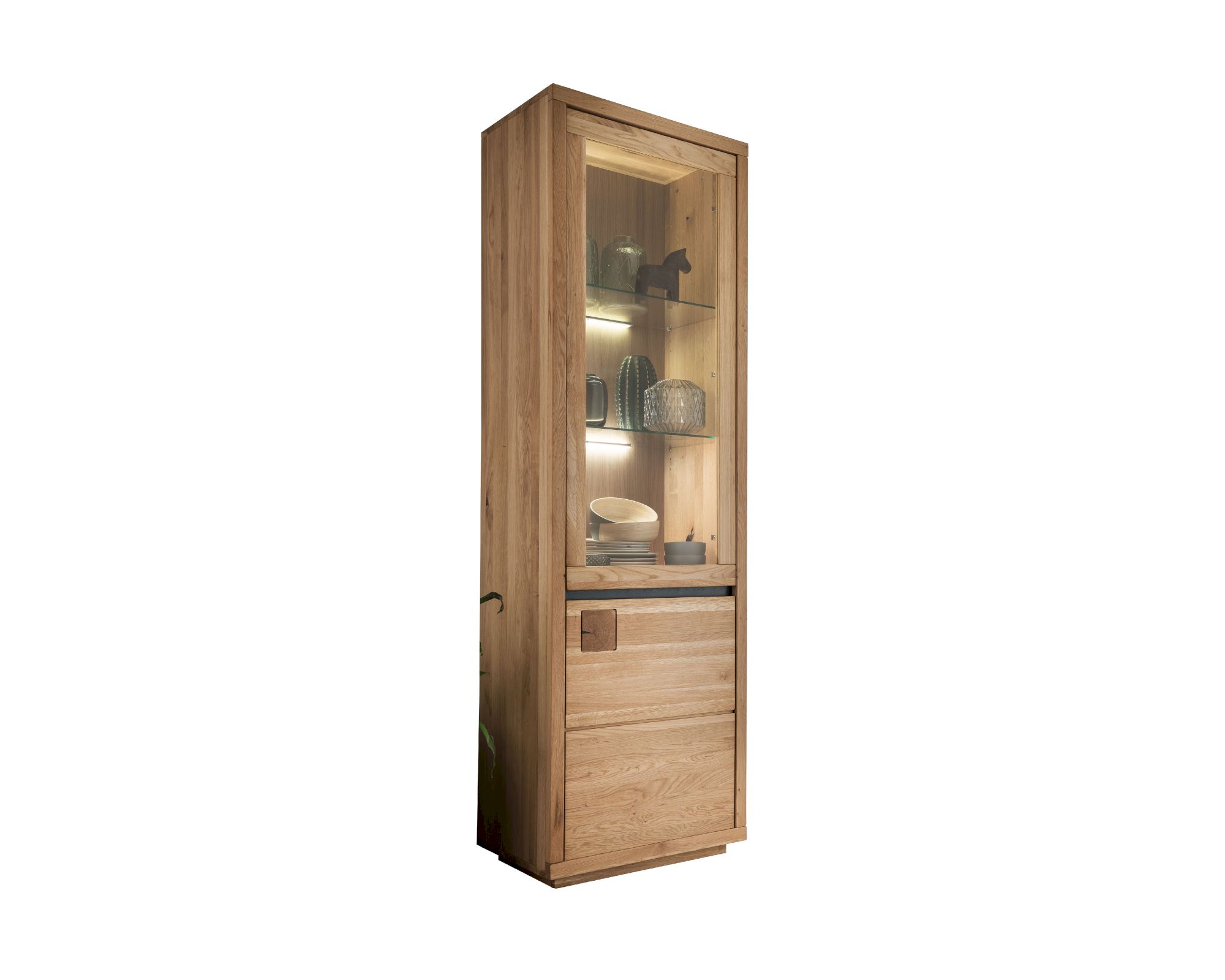 3S Frankenmöbel »Cara« Massivholz Vitrine I WZ-0159 / Wildeiche