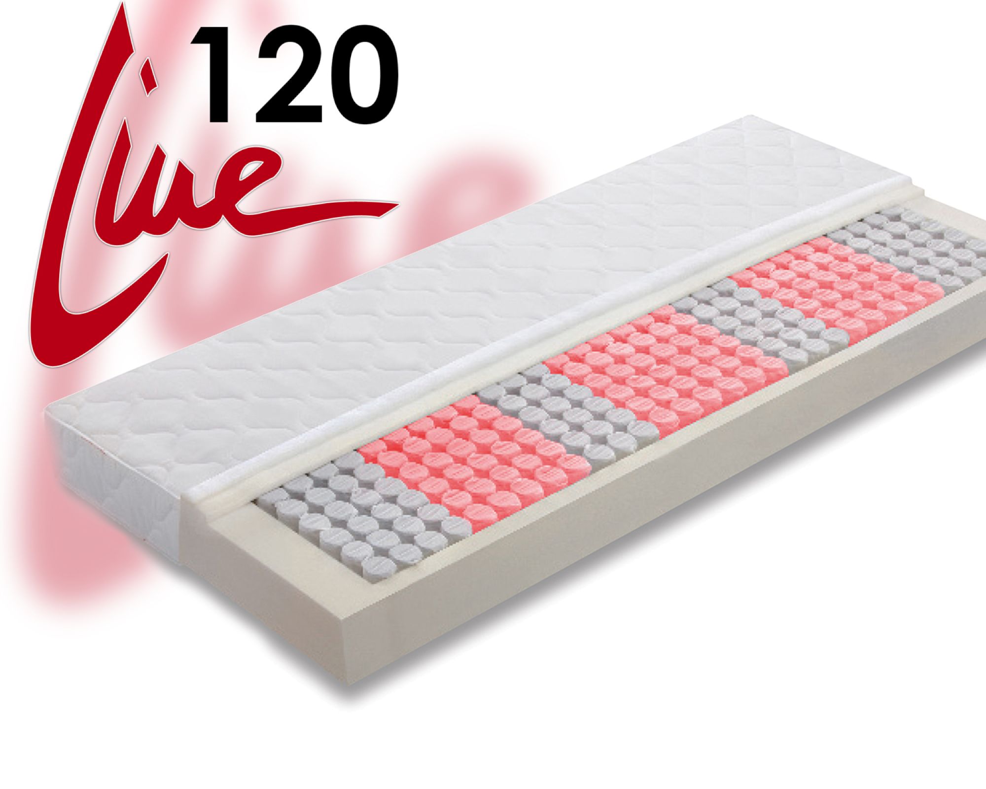 Badenia »BT 120« Taschenfederkern-Matratzen 90x200 cm