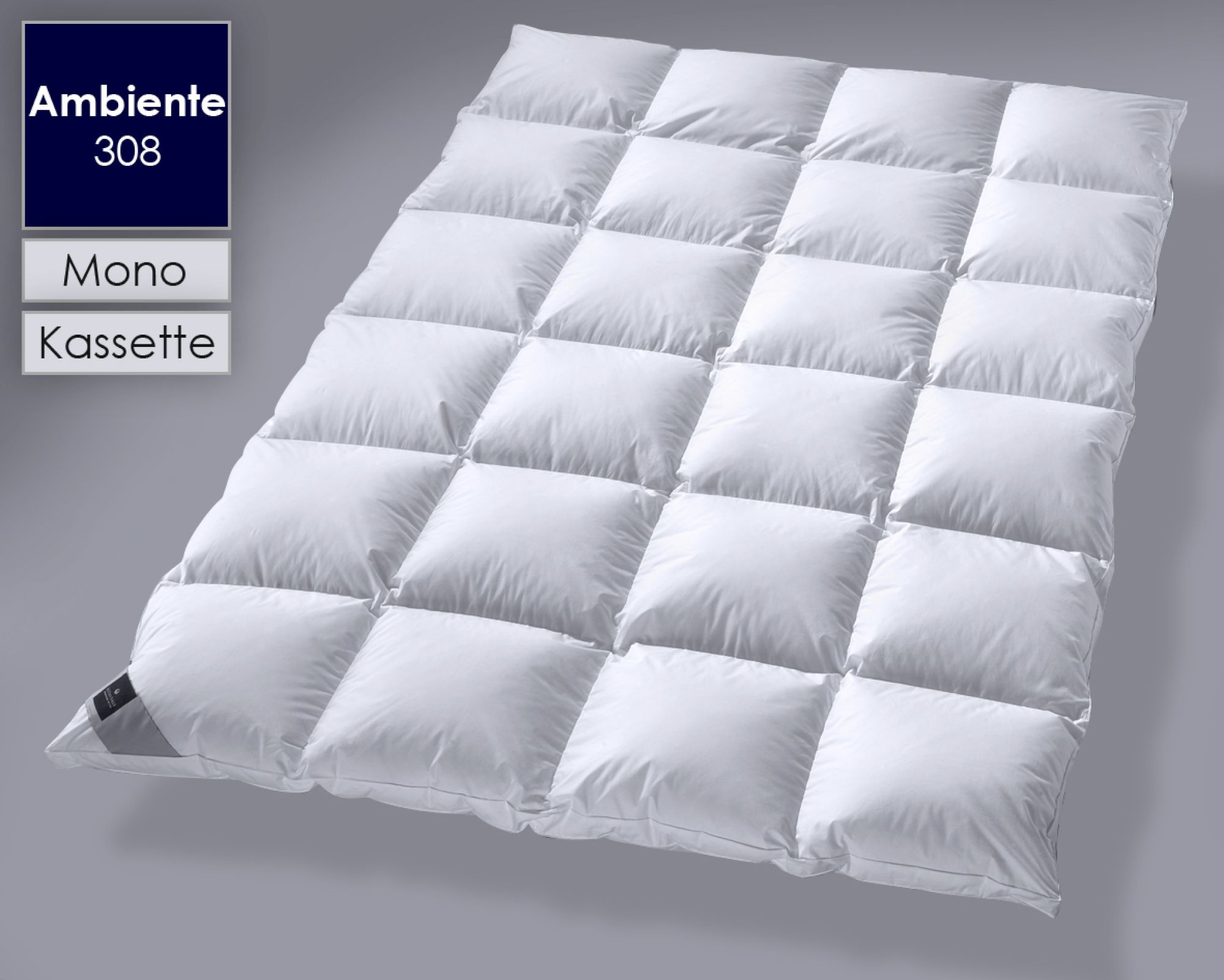 Billerbeck »308 Ambiente« Daunendecken Kassette 2 155x220 cm 840g