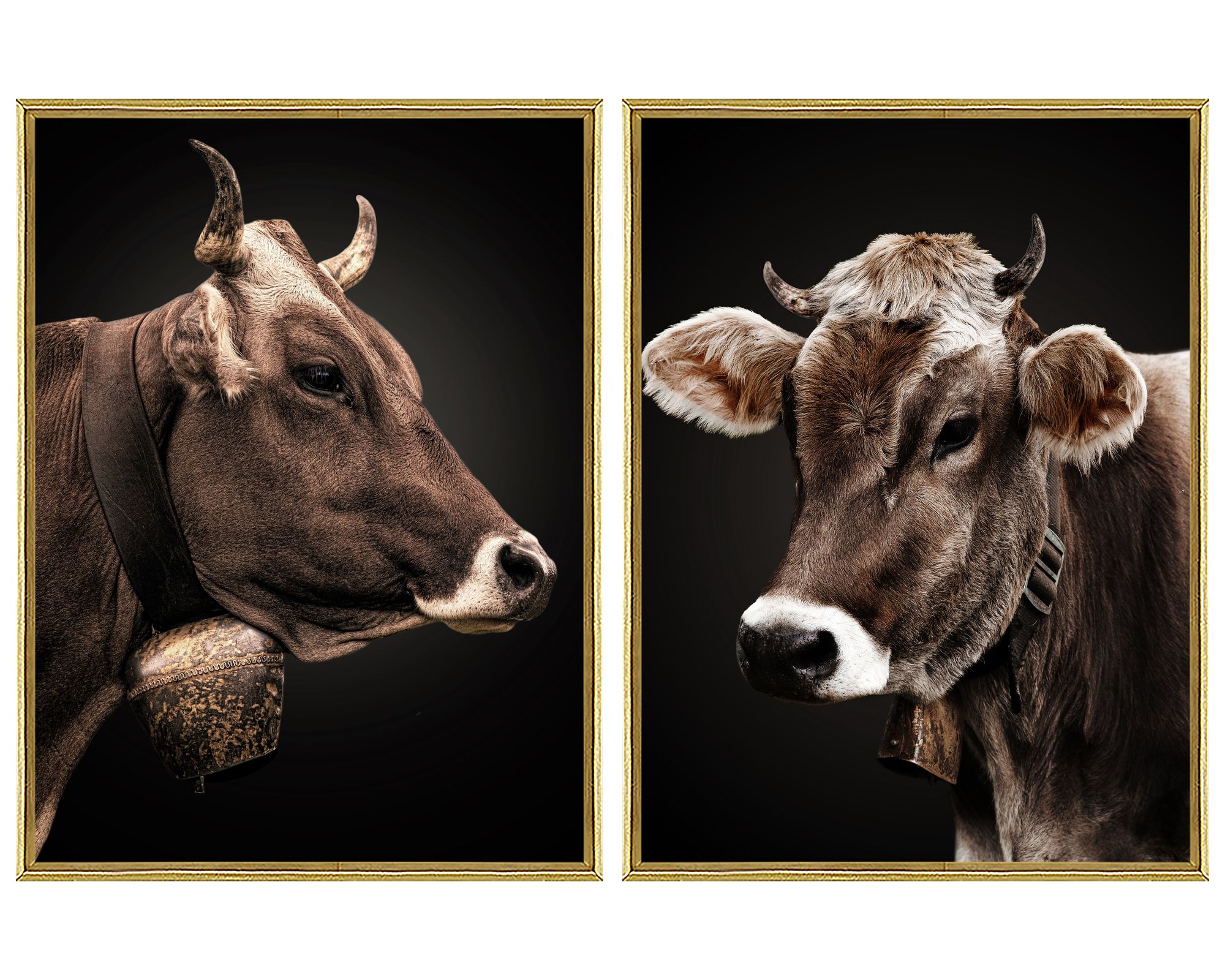 designline La Casa »Cow Portaits« Glasbilder 30x40 cm 2er-Set