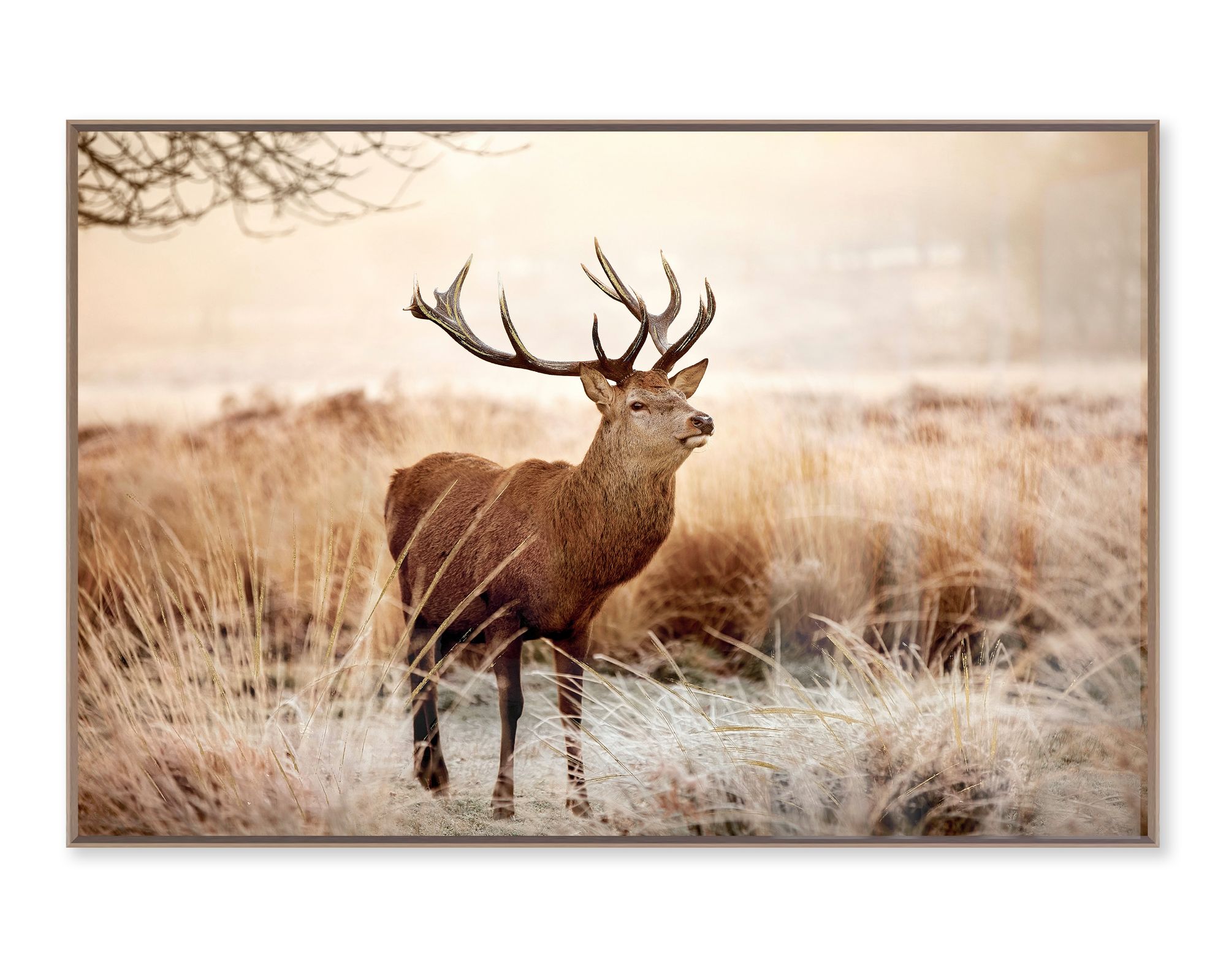 designline La Casa »Deer in Landscape« Wandbild 120x80 cm gerahmt