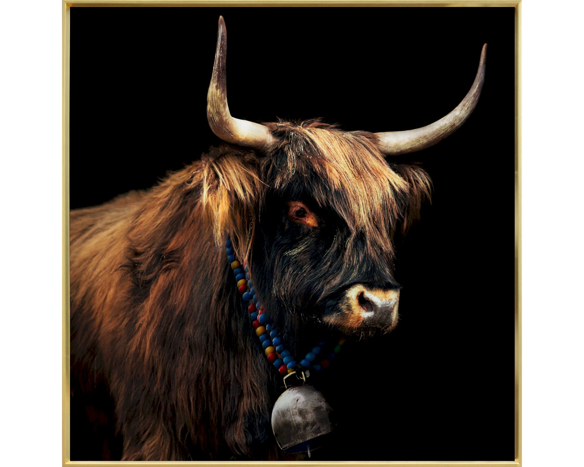 La Casa »bull with golden decor« Wandbild 100x100 cm Rahmen gold