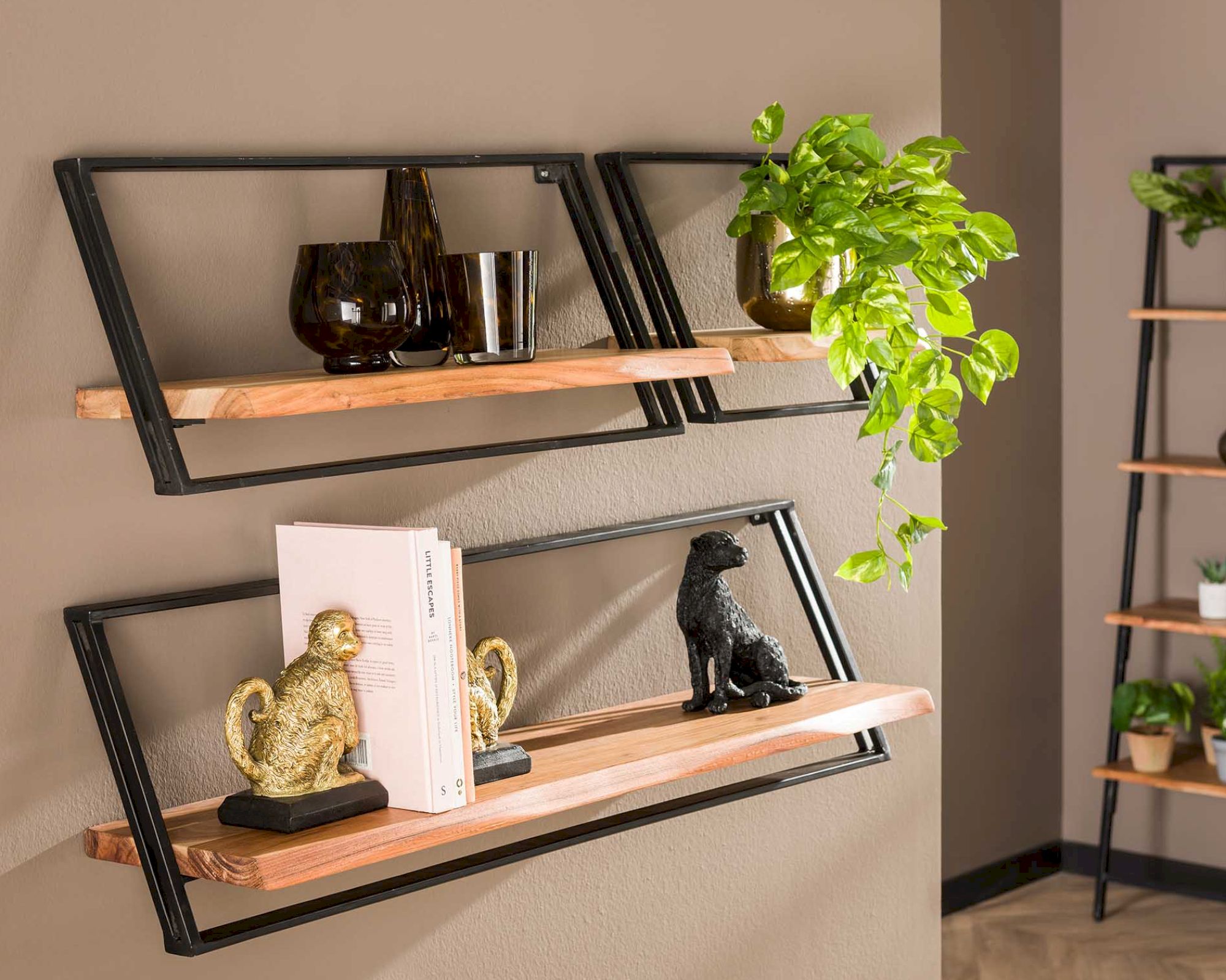 designline »Lean« Wandregal 3er-Set Akazienholz
