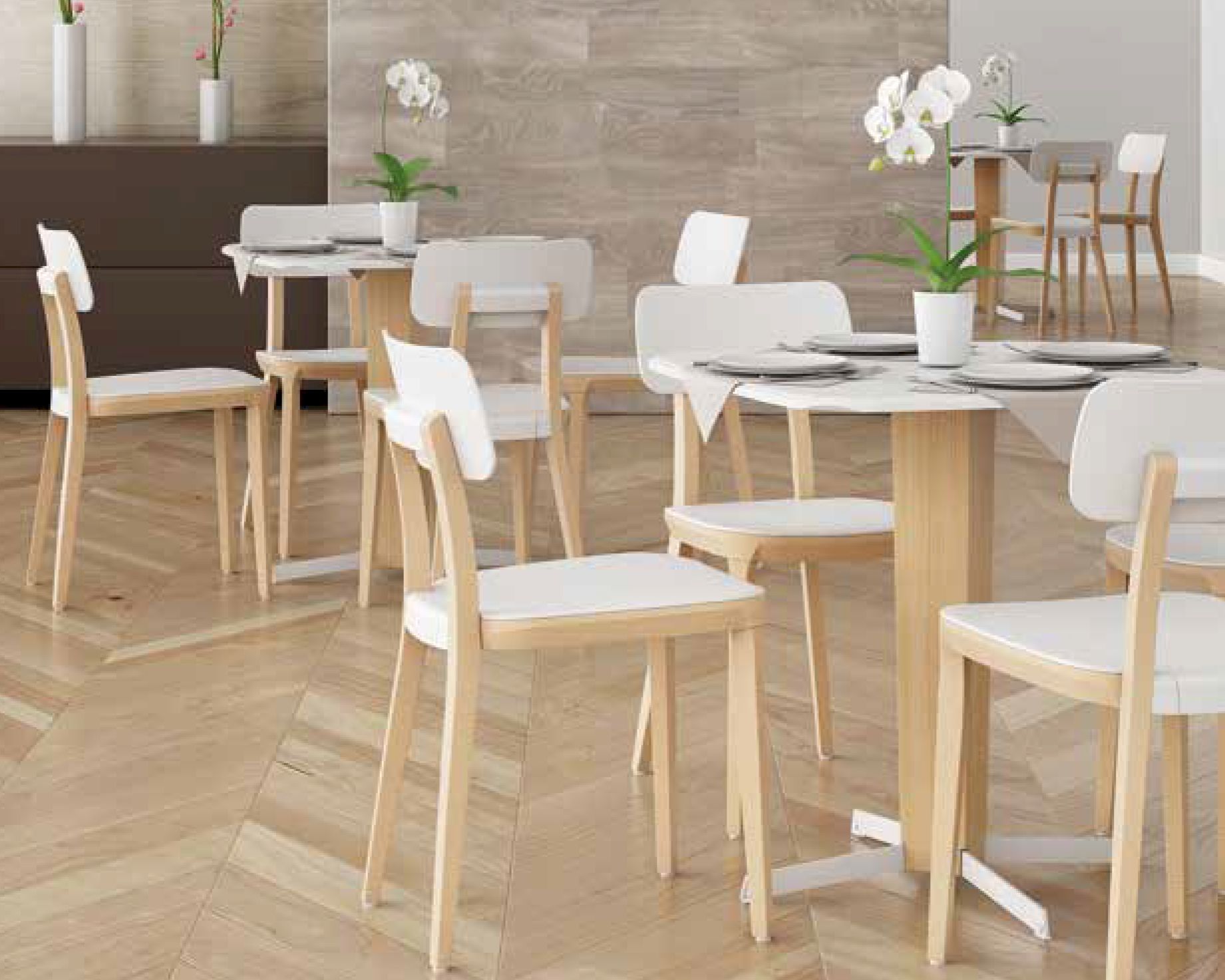 infiniti »PORTA VENEZIA« Designer-Stuhl FGVPN Buche natur / S020 Weiss