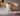 SalesFever »Arielle« Sessel beige
