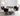 SalesFever »Arielle« Stuhl 2er-Set schwarz