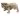 VOSS Design »Bernie« Bulldogge
