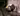 designline »Danti« Tischlampe