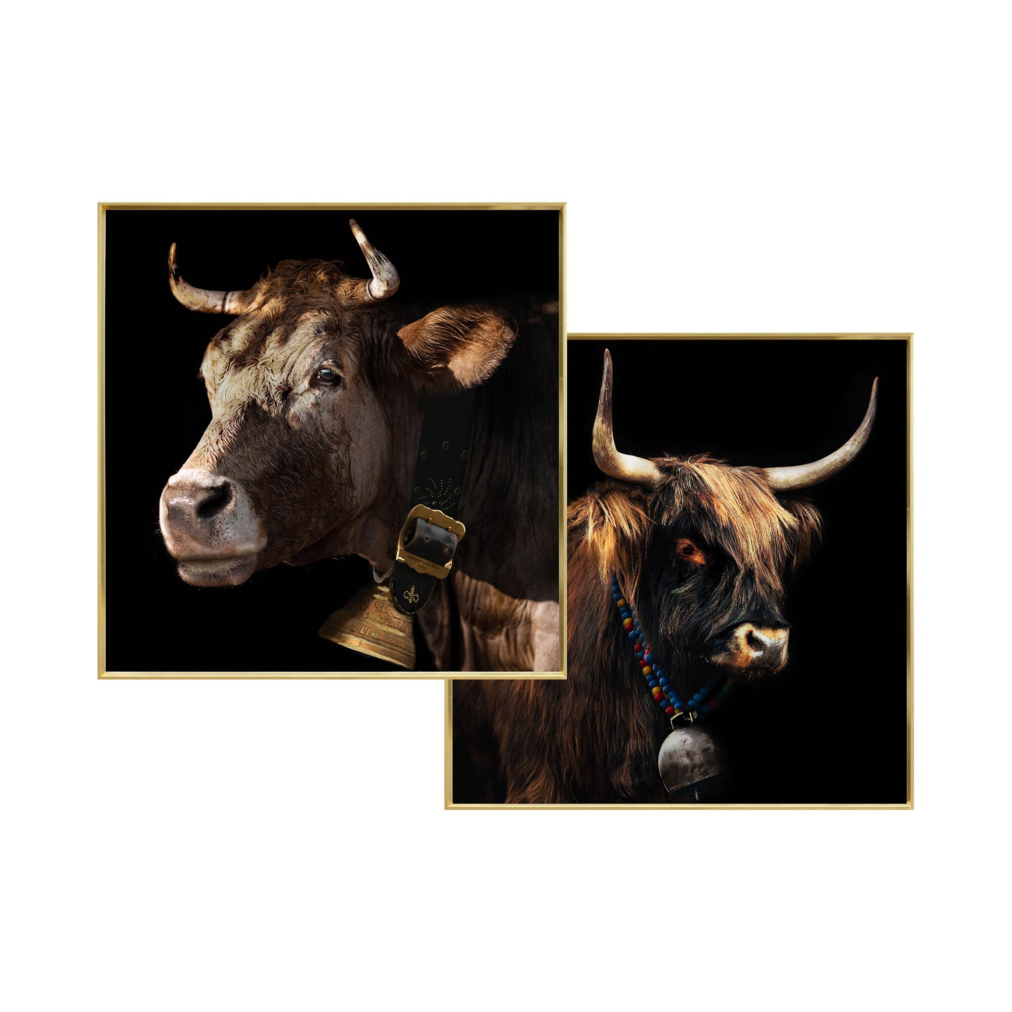 designline La Casa »Bulls« Wandbild 2er-Set