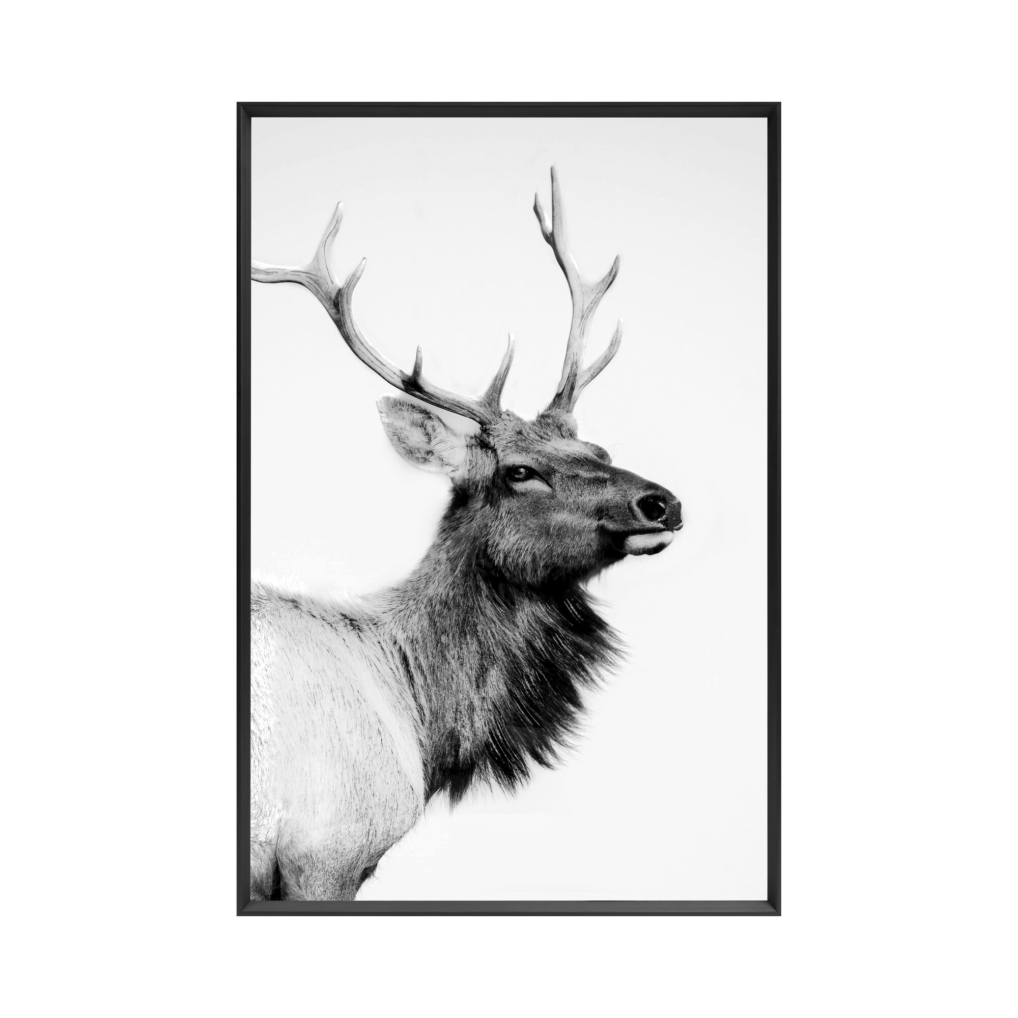 La Casa »Deer black and white« Wandbild I 60x90 cm