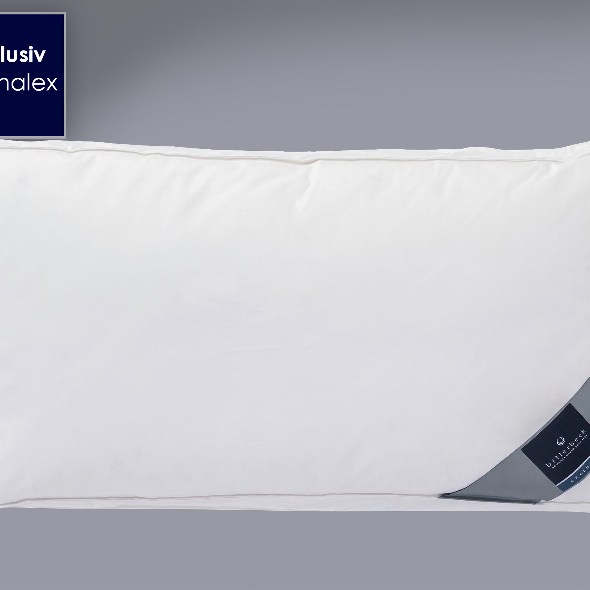 Billerbeck »Exclusiv Daunalex« Nackenstützkissen 40x80 cm