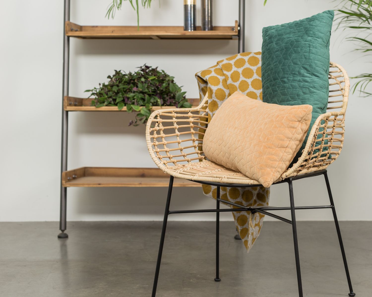 designline Rattan-Stuhl Tiger mit Armlehne • slewo.com