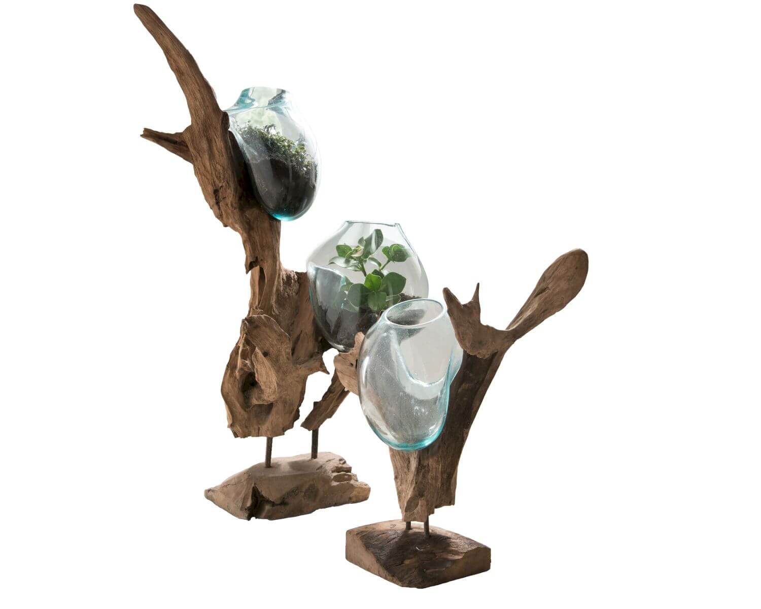 die Faktorei Unikat-Dekowurzel mit Glas • slewo.com die Faktorei Unikat-Dekowurzel mit Glas • slewo.com