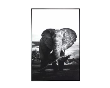 VOSS Design »Elephant« Bild 80x120 cm Artikelbild 6