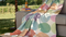 Ibena »Solare Cotton Pur« Wohndecken Plaid 2026 Fb. 100