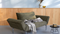 Innovation »ZEAL« Design-Sofa