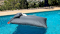 Sitting Bull »POOL BULL« Outdoor Kissen