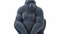 VOSS Design »Gorilla Bobo« beflockt