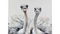 VOSS Design »Lovely Ostriches« Bild handgemalt