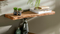 designline »Edge« Massivholz Wandregal Akazie