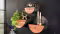 designline »Moon« Wandregal