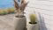 fleur ami »Cliff« Outdoor Pflanzgefäß olive grey Artikelbild 2